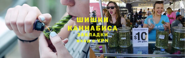 ешки Осинники