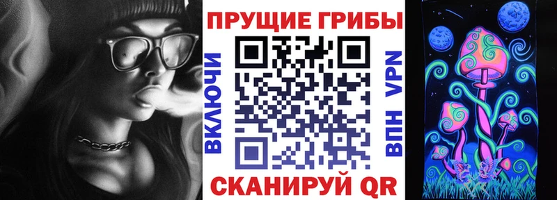 Псилоцибиновые грибы Psilocybe  Азнакаево 