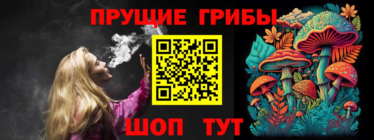 Галлюциногенные грибы Psilocybine cubensis Азнакаево